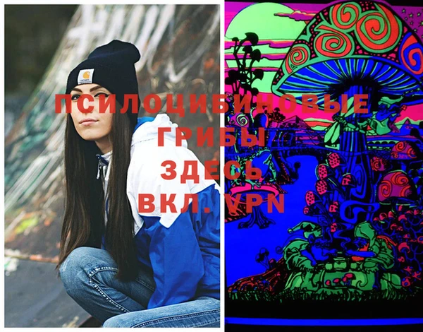 сатива Верхний Тагил