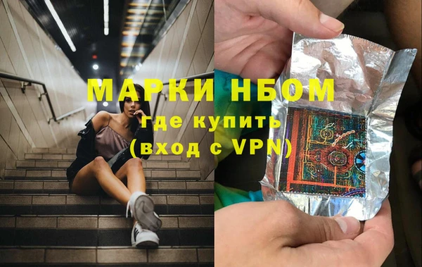 сатива Верхний Тагил